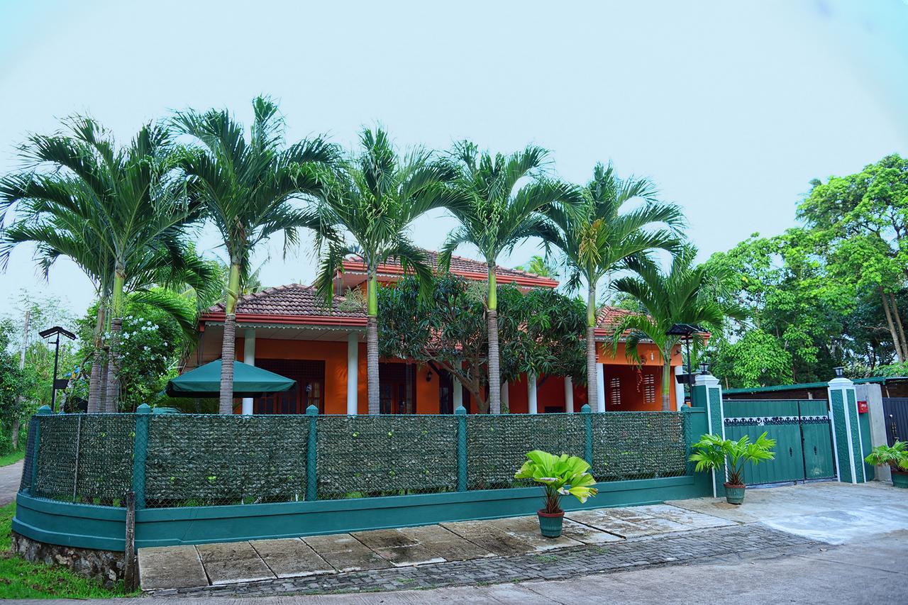 One And Only Apartment نيجومبو المظهر الخارجي الصورة