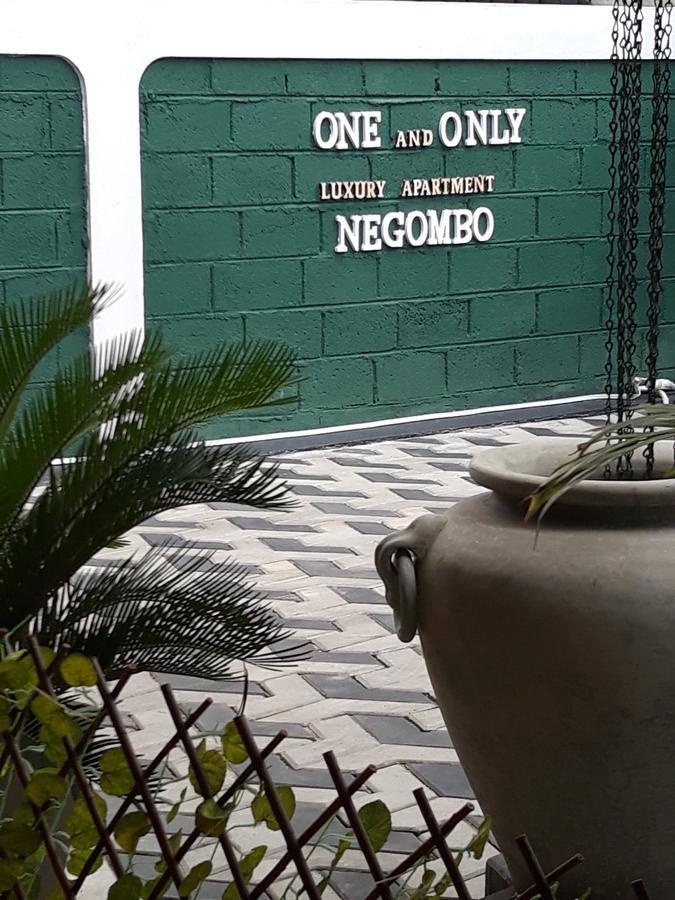 One And Only Apartment نيجومبو المظهر الخارجي الصورة